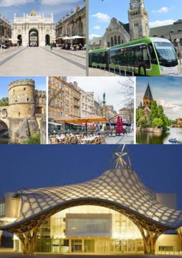 Le Muse Quartier Ville Proche Transport Parking Prive Un-Sejour-A-Part Мец Екстериор снимка